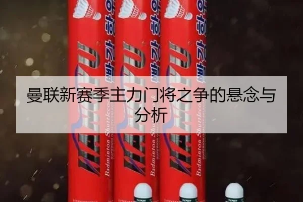 曼联新赛季主力门将之争的悬念与分析